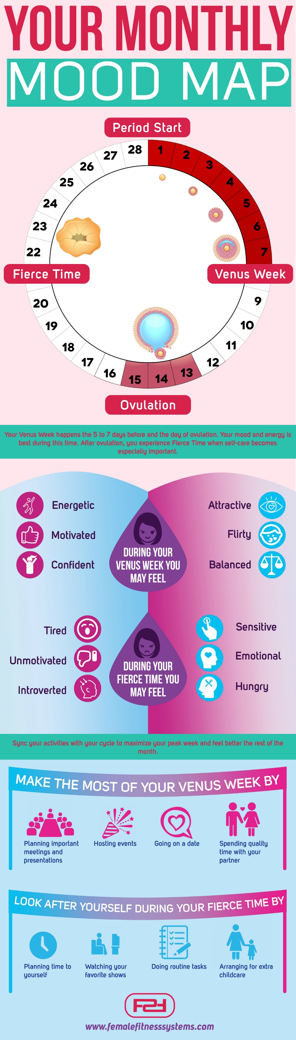 Menstrual Cycle Mood Swings Chart