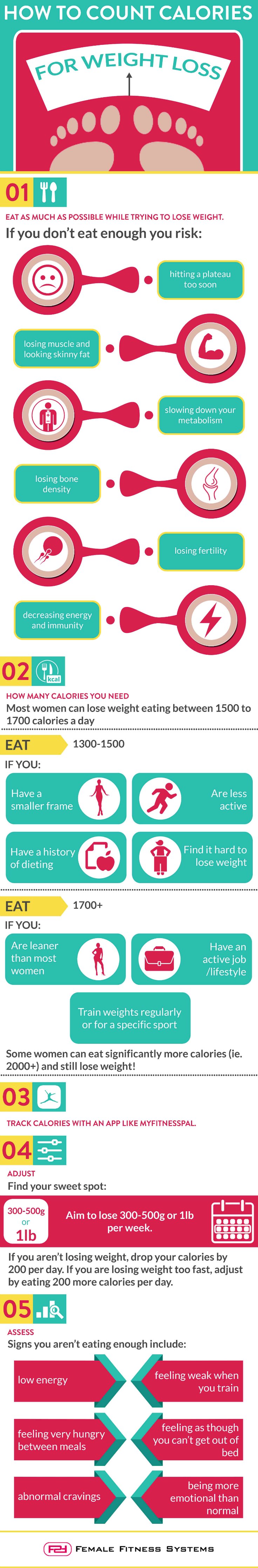 Calorie Counting: Everything You Need to Know