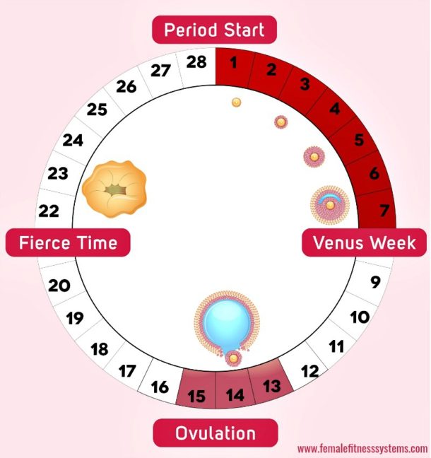 Man's Guide To Her Monthly Mood Swings | Female Fitness Systems