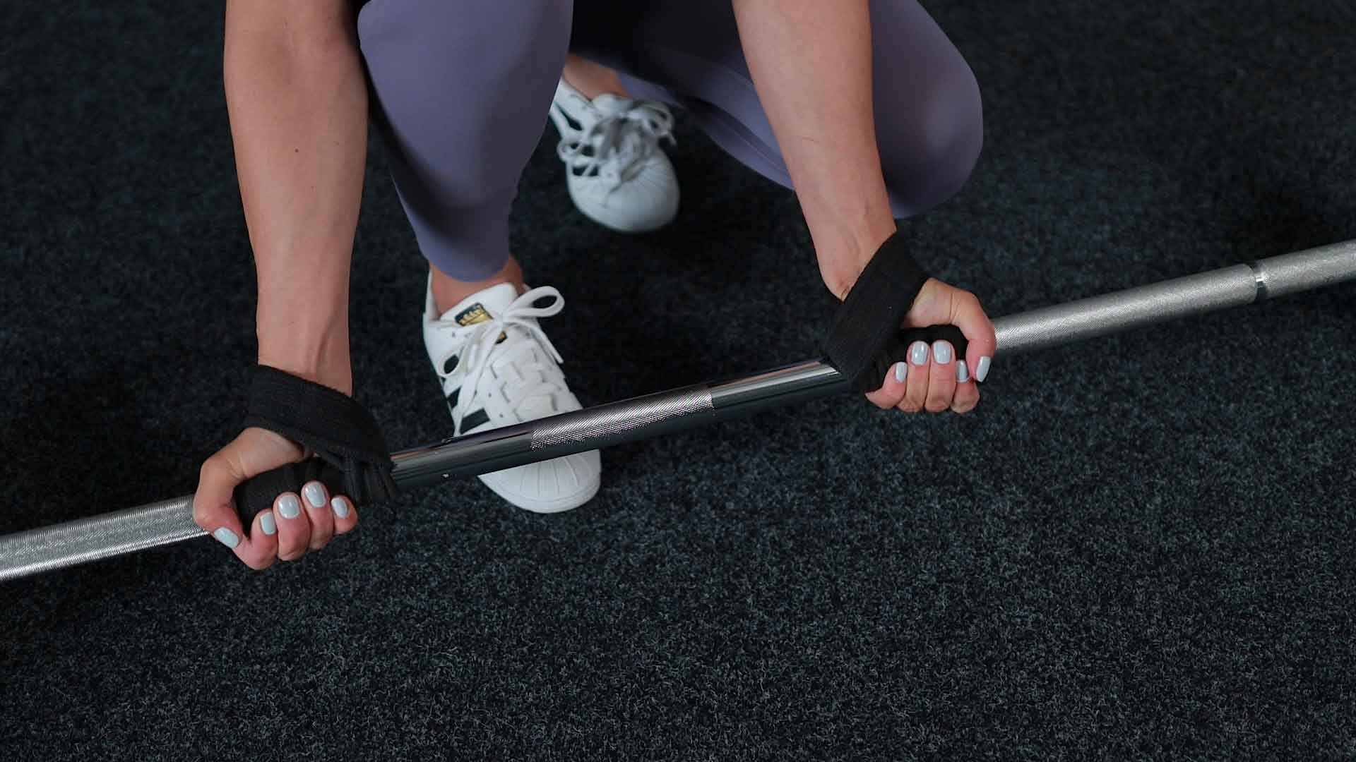 Advanced Training Course Female Fitness Systems